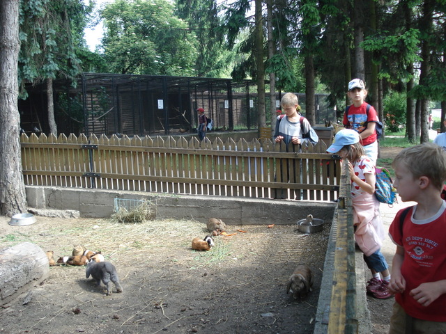 ZOO VYKOV zvtit