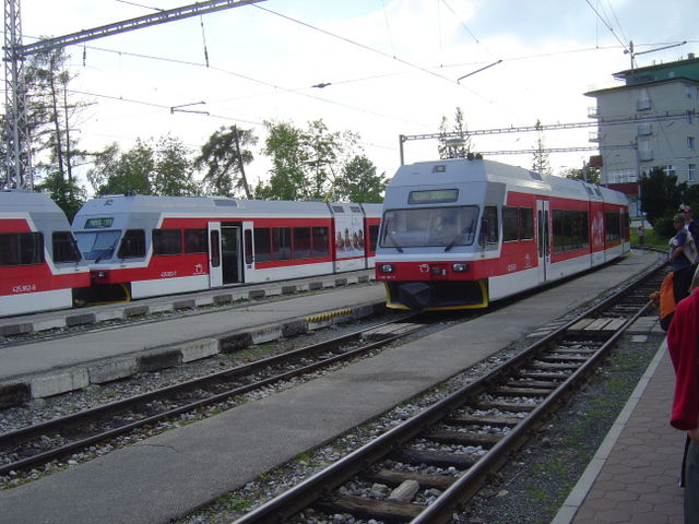 SLOVENSKO 2007 zvtit