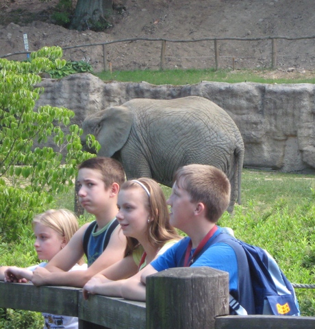 Zoo Len 18.6.2009 088.jpg zvtit