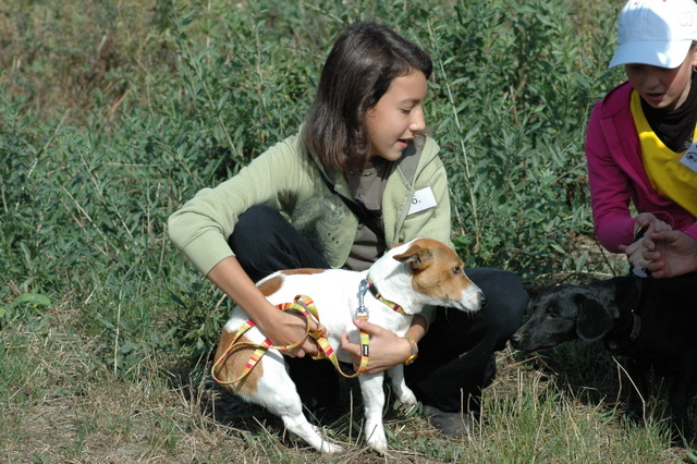 DSC_4808.JPG zvtit