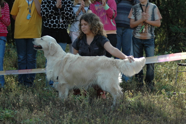 DSC_4818.JPG zvtit