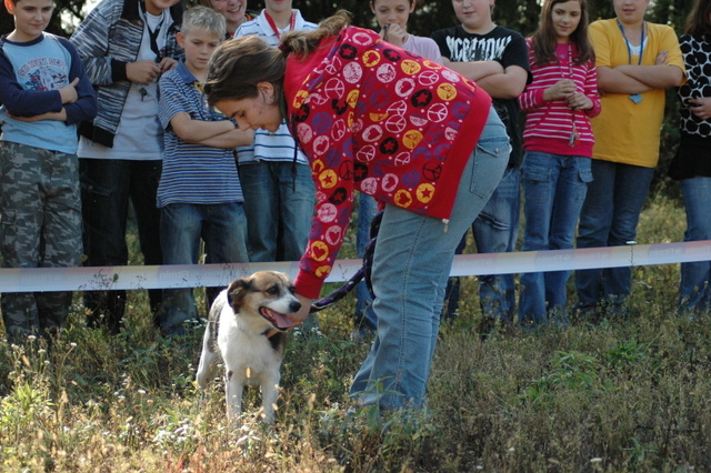 DSC_4825.JPG zvtit
