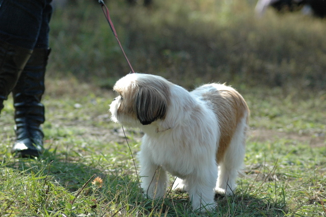DSC_4836.JPG zvtit