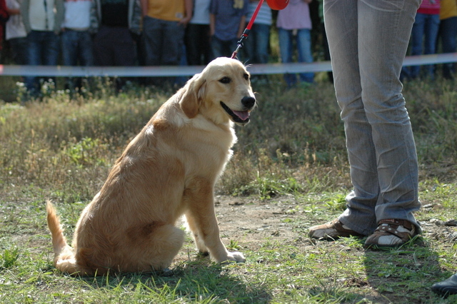 DSC_4844.JPG zvtit