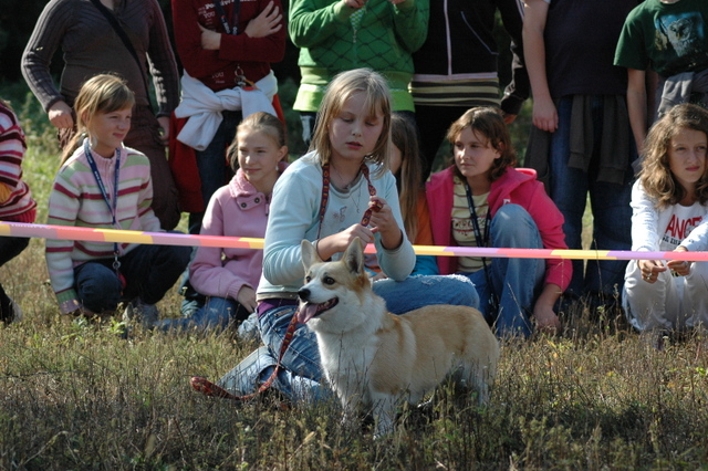 DSC_4853.JPG zvtit