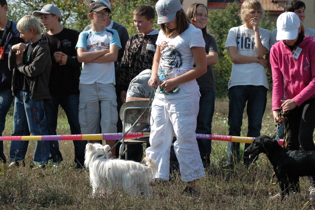 DSC_4854.JPG zvtit