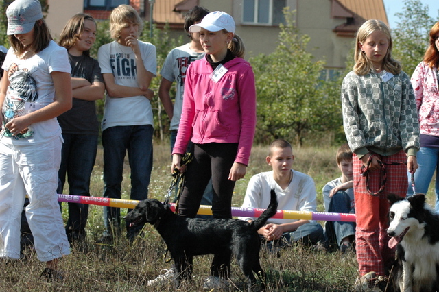 DSC_4855.JPG zvtit