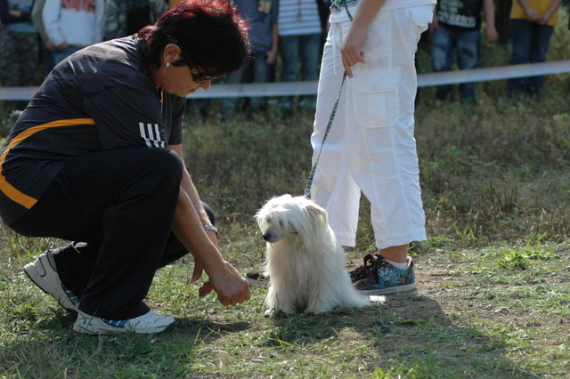 DSC_4873.JPG zvtit