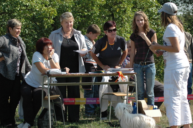 DSC_4877.JPG zvtit