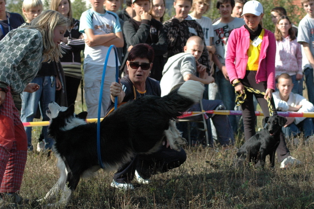 DSC_4889.JPG zvtit