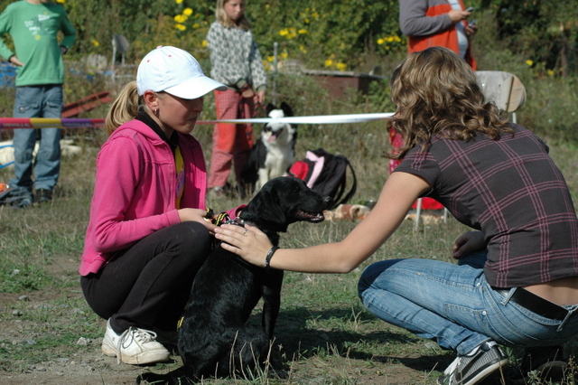 DSC_4896.JPG zvtit