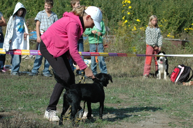 DSC_4900.JPG zvtit