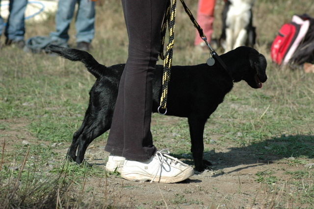 DSC_4902.JPG zvtit