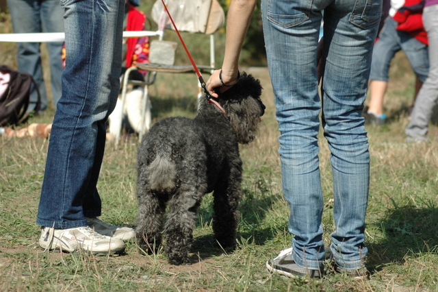 DSC_4903.JPG zvtit