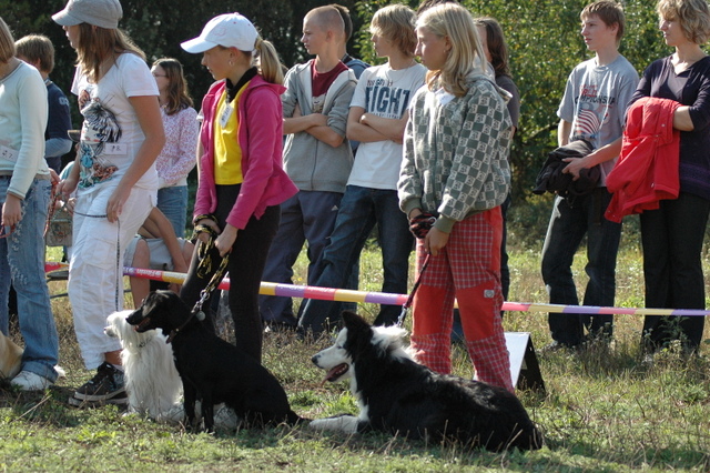 DSC_4908.JPG zvtit