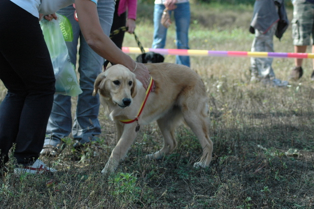 DSC_4931.JPG zvtit