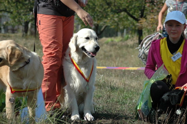 DSC_4946.JPG zvtit