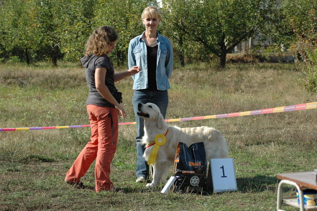 DSC_4955.JPG zvtit