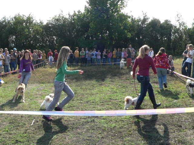 P1140691.JPG zvtit