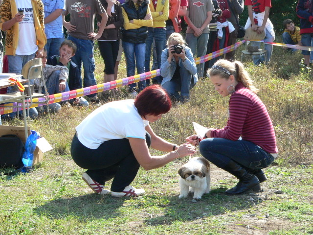 P1140694.JPG zvtit