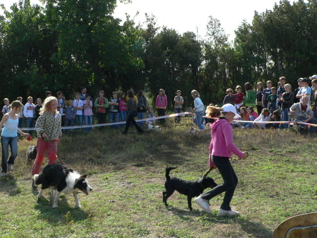 P1140707.JPG zvtit
