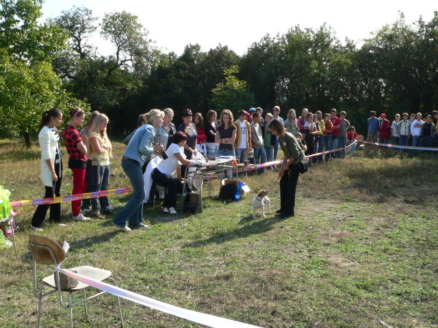 P1140720.JPG zvtit