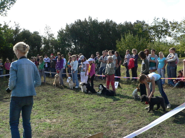 P1140730.JPG zvtit
