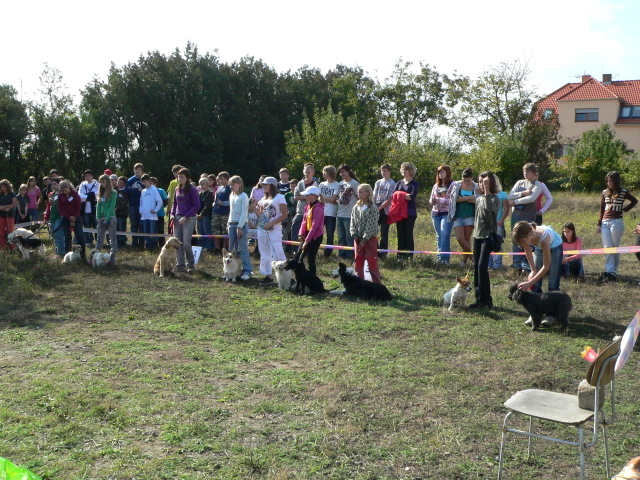 P1140731.JPG zvtit